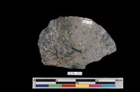 藏品(斑銅礦)的圖片